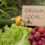 Plant-Based Food Market Tactics for Success