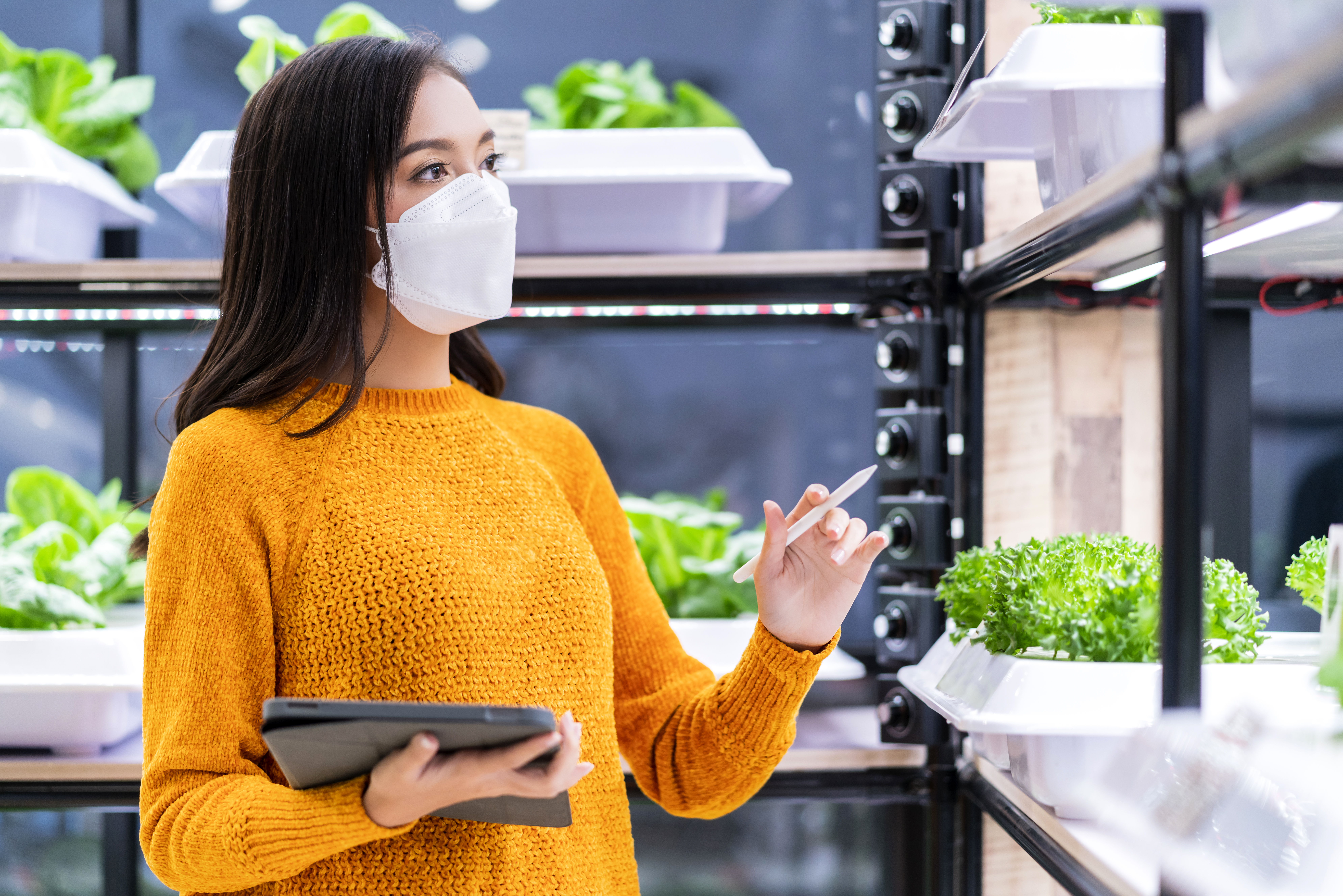 Supply Chain Optimization Tactics for Success in Food Industry