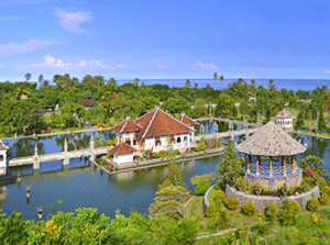 Hire Bali driver for the memorable tour experience